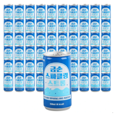 금손 스파클링 스트롱 플레인 190ml x 30 x 2