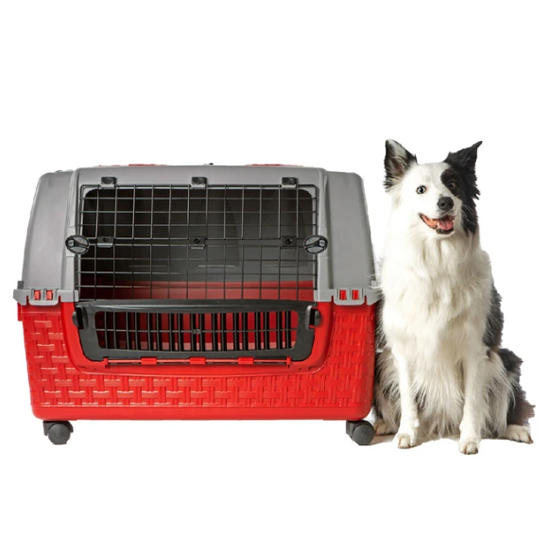 바마 이지 투어 켄넬 반려동물 이동장 ~40kg